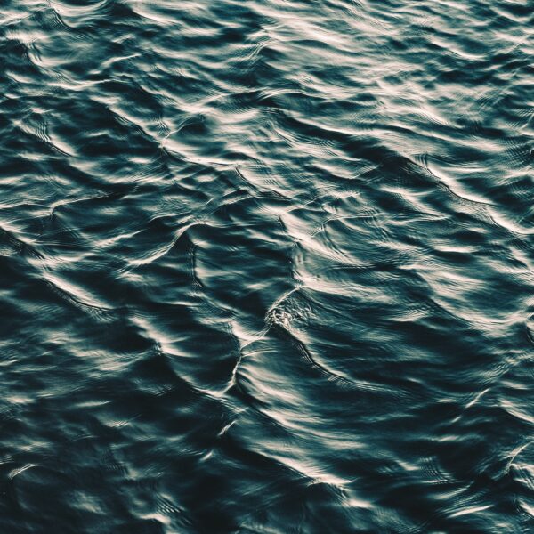 podemos prever el impacto de una acción seo