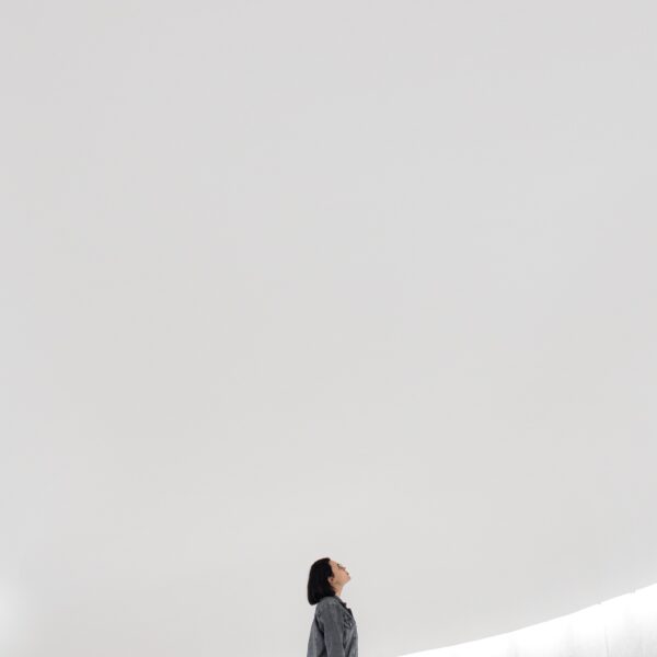 google lens la búsqueda textual pronto destronada por la imagen