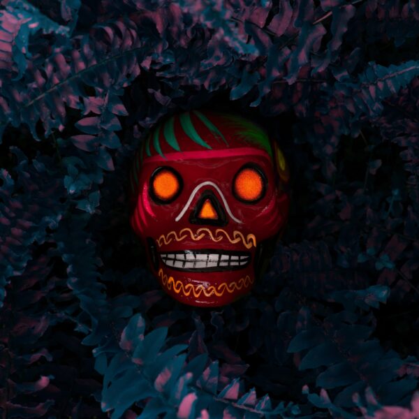 la canibalizacion de paginas en la misma palabra clave