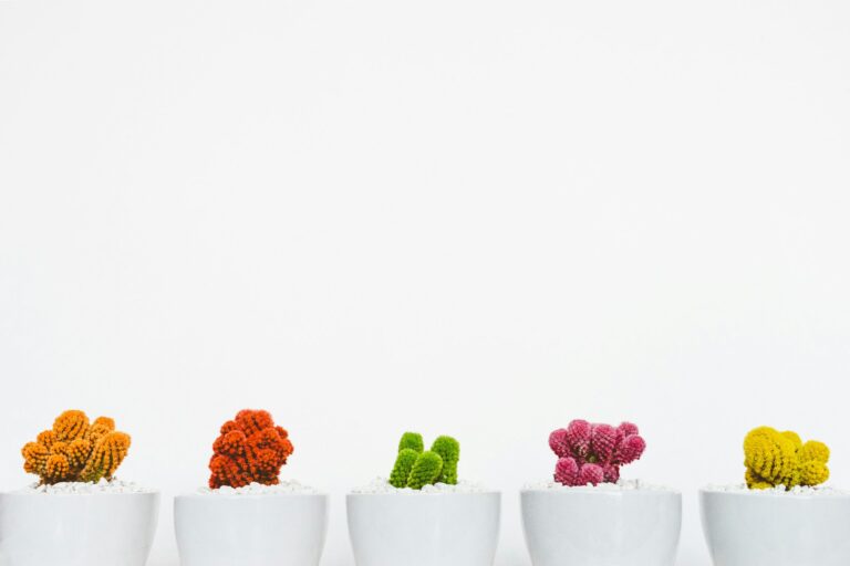 consultor seo ¿qué es y cómo puede ayudarte un especialista seo?