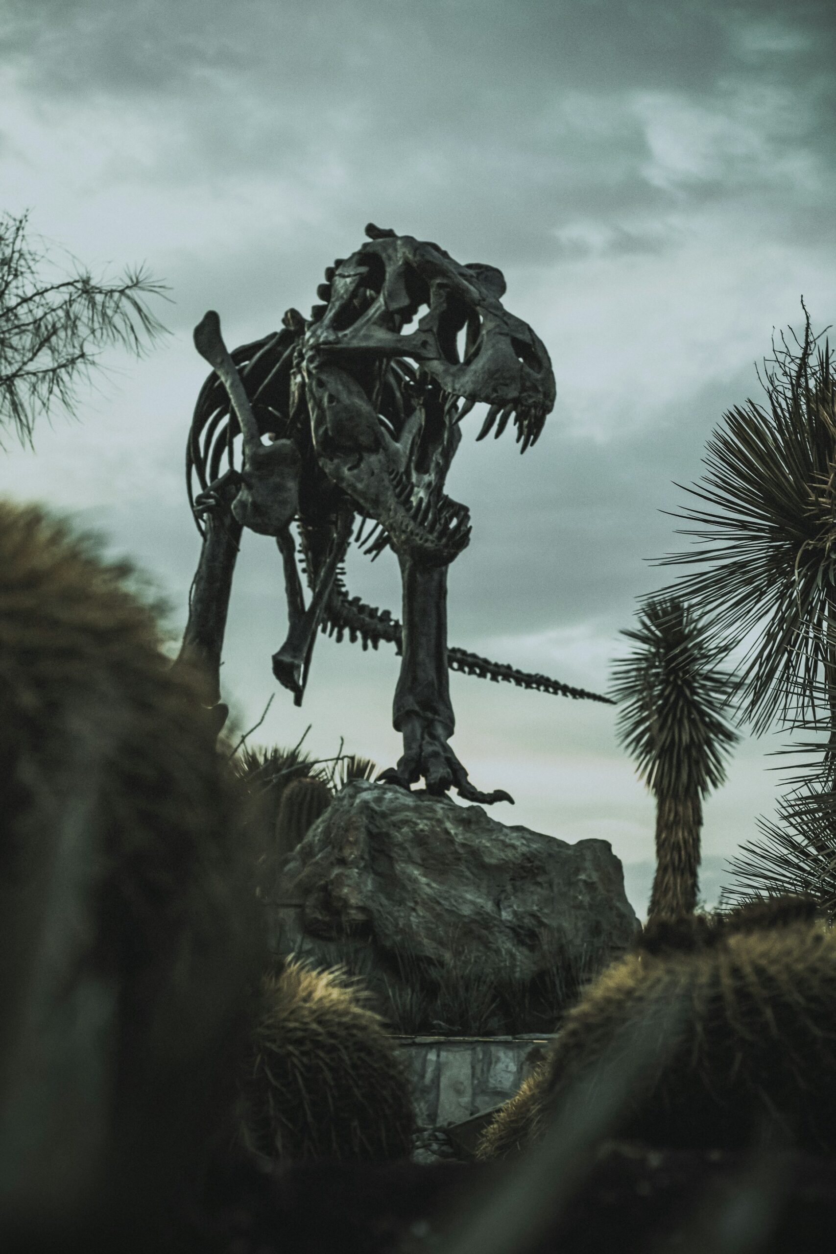 cómo explicarle a tu cliente que no necesita geo